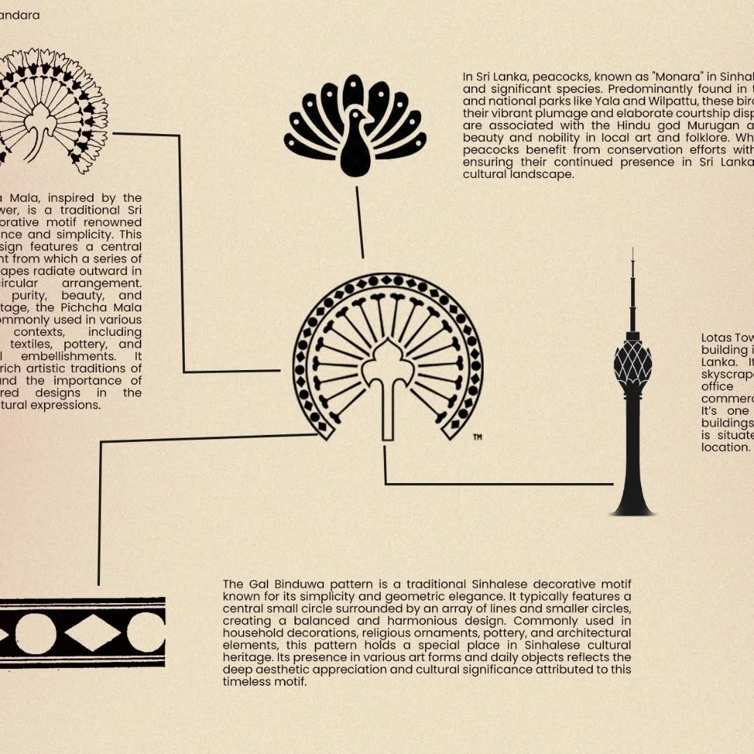 Visual Branding & logo